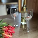 Βίλα Stodola Caloroczny