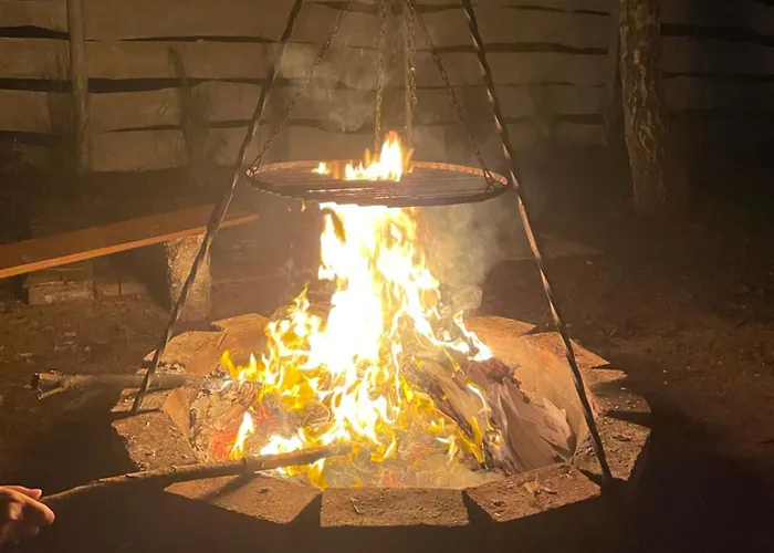 Stodola Caloroczny 别墅