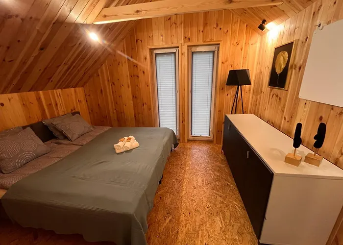 Stodola Caloroczny 别墅